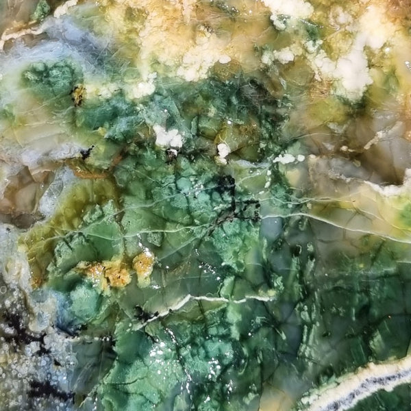 Green Opal  rough.  GOR 101