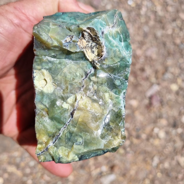 Green Opal  rough.  GOR 102