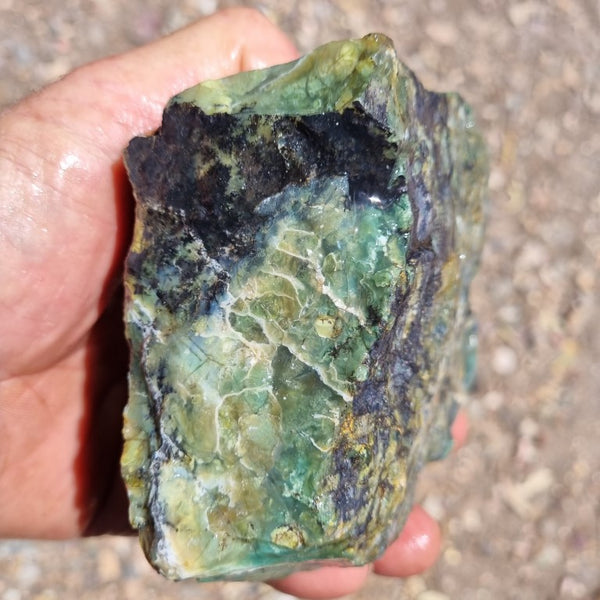 Green Opal  rough.  GOR 102