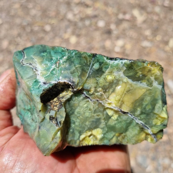 Green Opal  rough.  GOR 102