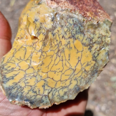 Dendritic Opal  rough.  DOR 188