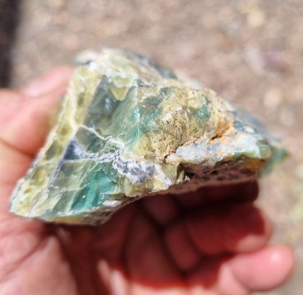 Green Opal  rough.  GOR 103