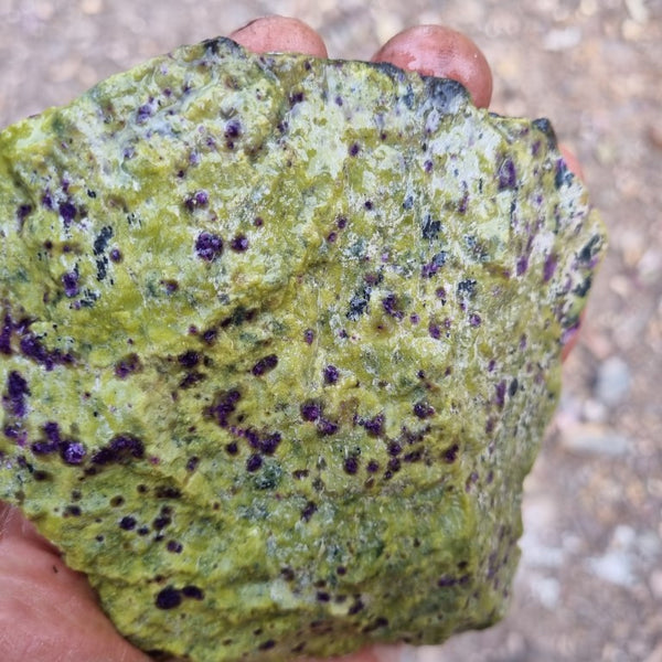 Rough Stichtite in Serpentine (Atlantisite) STR118