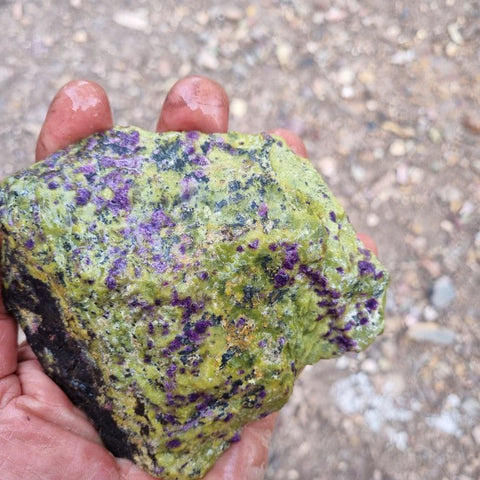 Rough Stichtite in Serpentine (Atlantisite) STR118