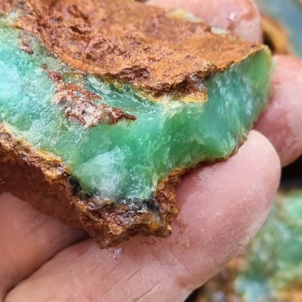 Chrysoprase rough.  CHR 175