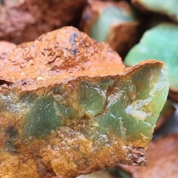 Chrysoprase rough.  CHR 175