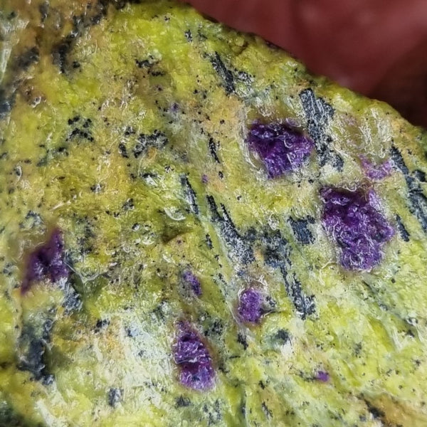 Rough Stichtite in Serpentine (Atlantisite) STR119