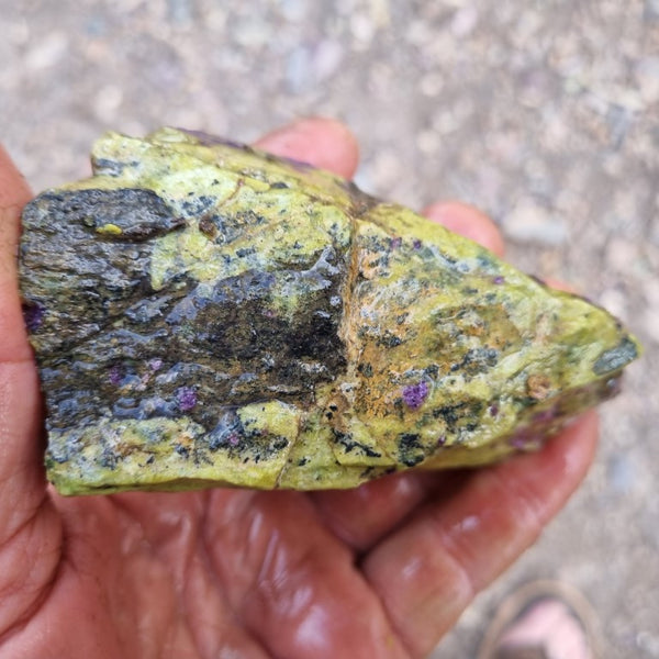 Rough Stichtite in Serpentine (Atlantisite) STR120