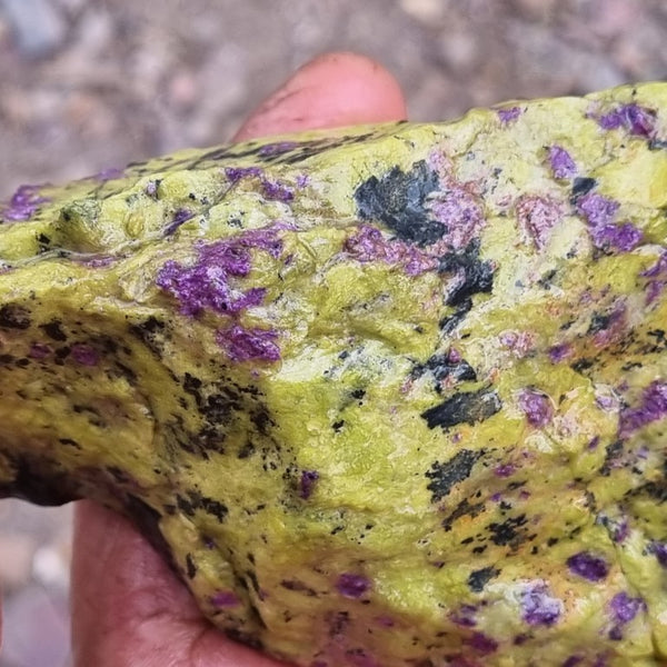Rough Stichtite in Serpentine (Atlantisite) STR121