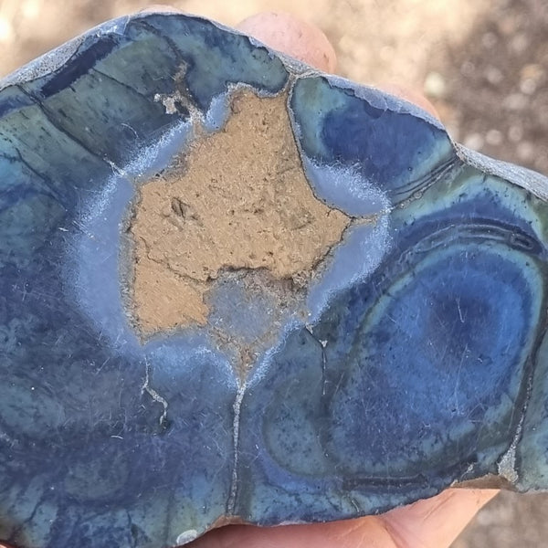 Polished Vivianite nodule half VV105