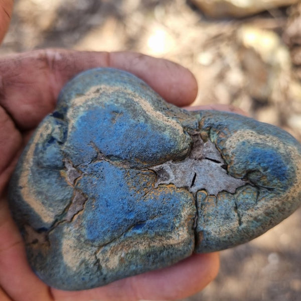 Polished Vivianite nodule half VV106