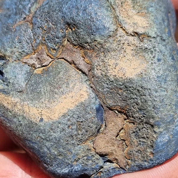 Polished Vivianite nodule half VV106