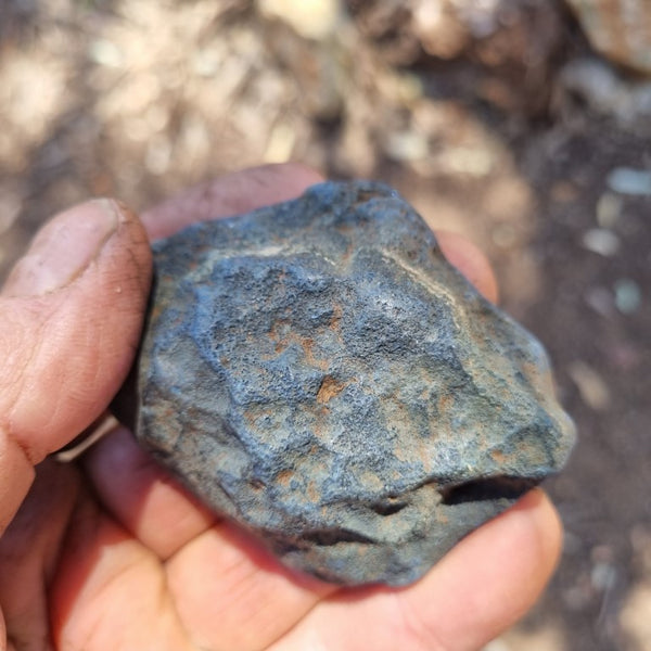 Polished Vivianite nodule half VV107