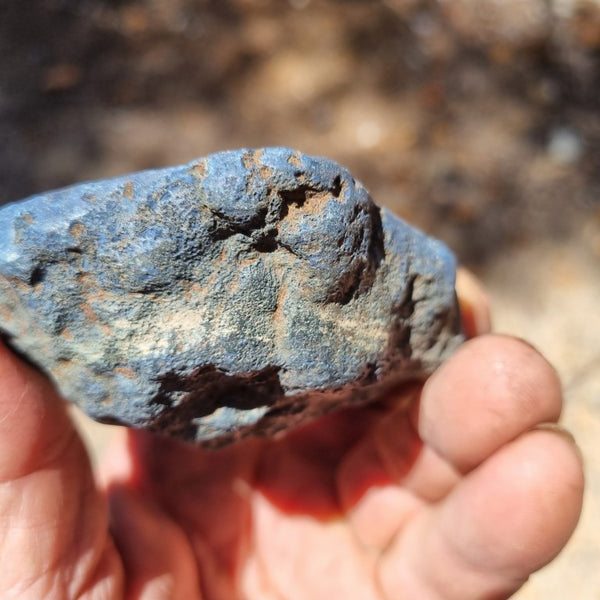 Polished Vivianite nodule half VV107