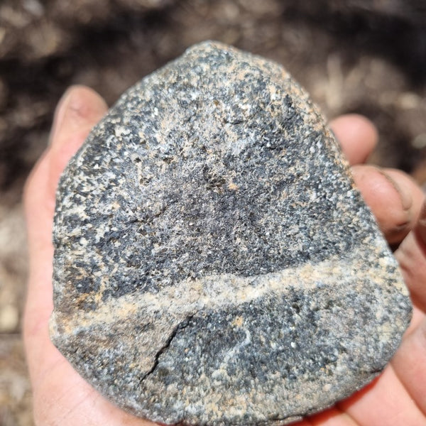 Pair of polished Orbicular Granite. OG171