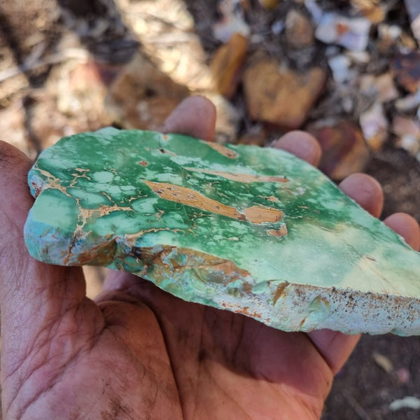 Variscite Polished Slab.  VP 254