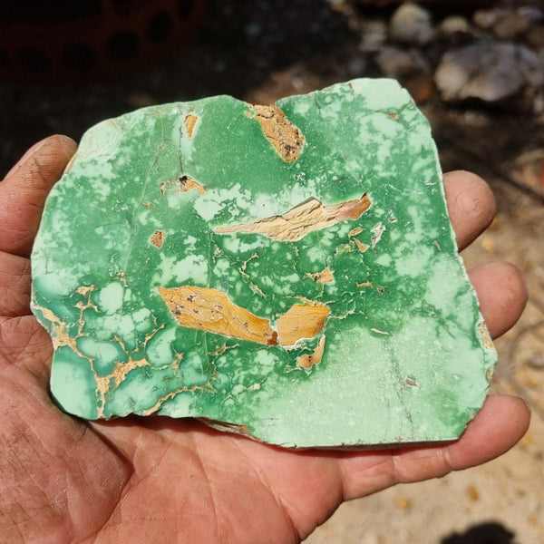 Variscite Polished Slab.  VP 254