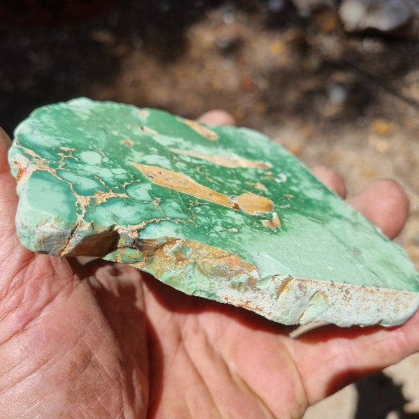 Variscite Polished Slab.  VP 254