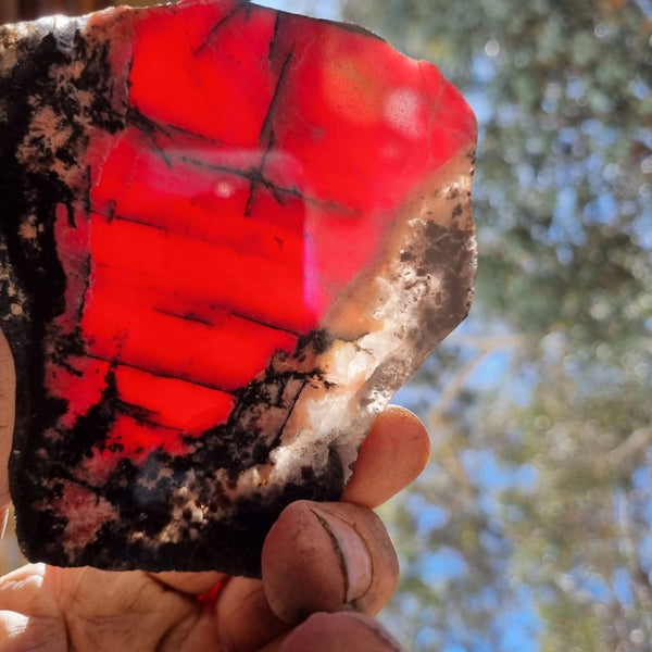 Polished Rhodonite slab RH248