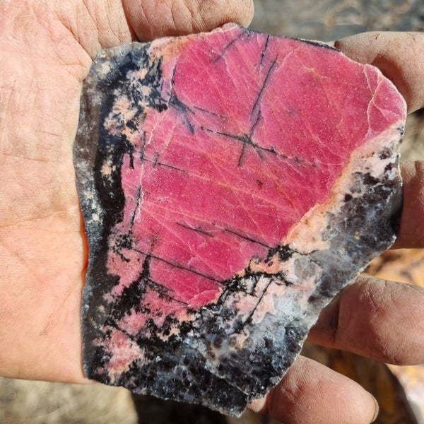 Polished Rhodonite slab RH248