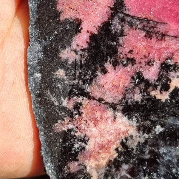 Polished Rhodonite slab RH248