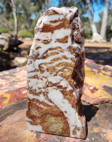 SJ131 Starry Jasper polished display specimen