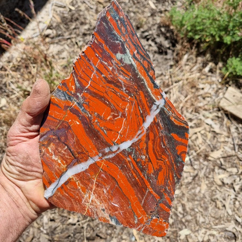 Starry Jasper polished slab SJ132