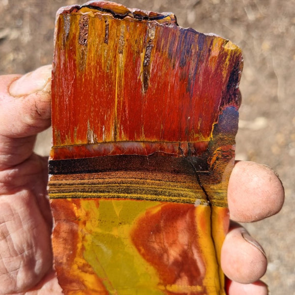 Polished Tiger Eye slab TE375