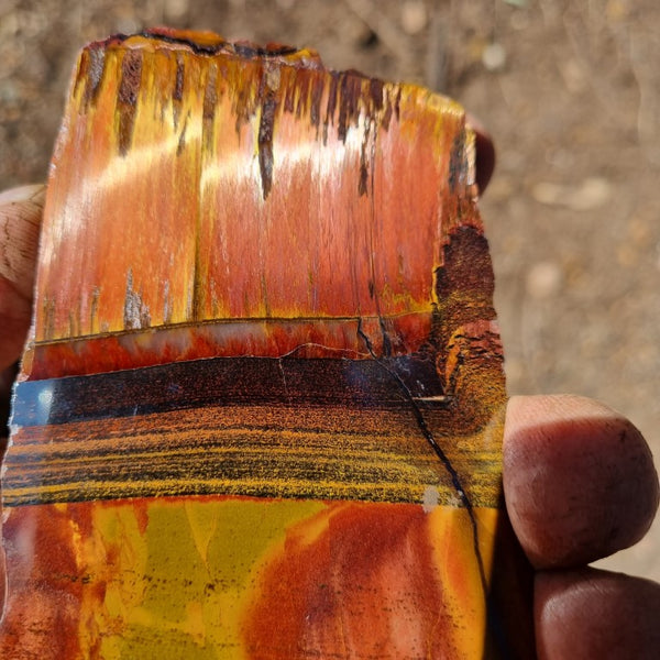 Polished Tiger Eye slab TE375