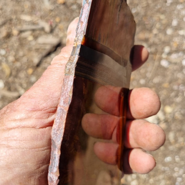 Polished Tiger Eye slab TE375