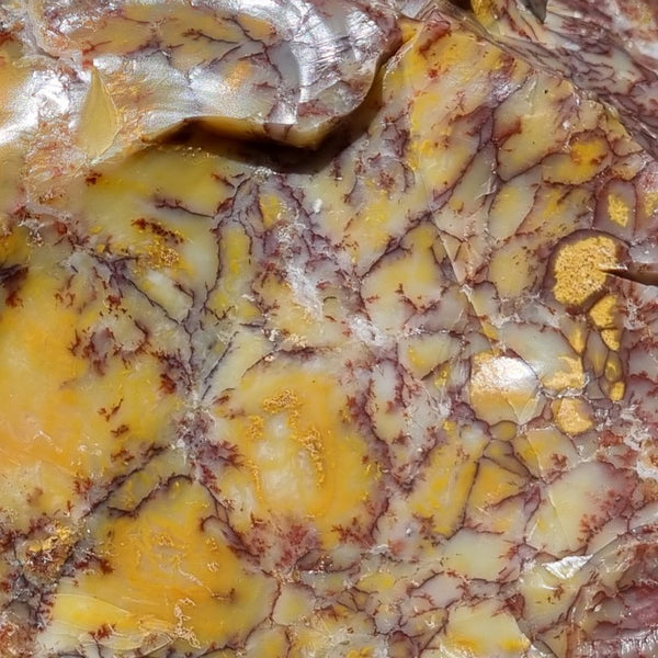Dendritic Opal  rough.  DOR 189