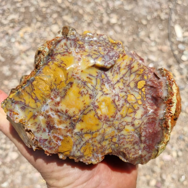 Dendritic Opal  rough.  DOR 189