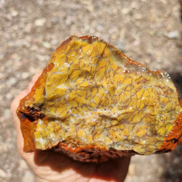 Dendritic Opal  rough.  DOR 190