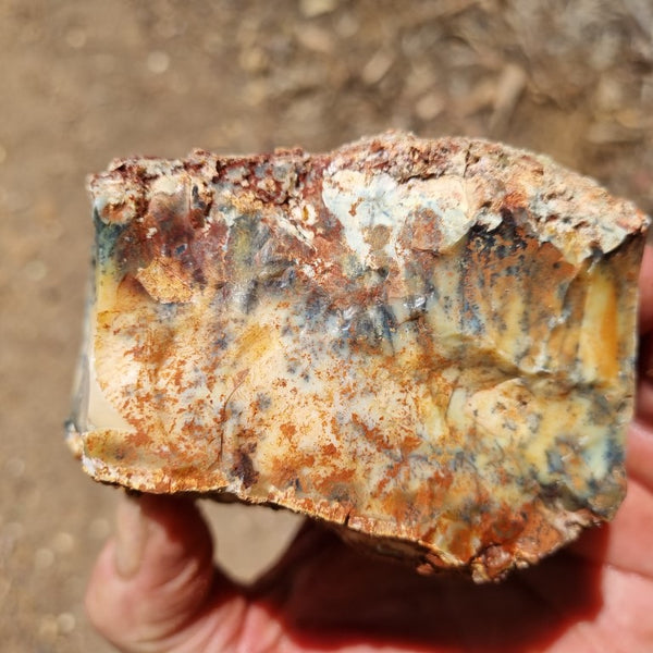 Dendritic Opal  rough.  DOR 191