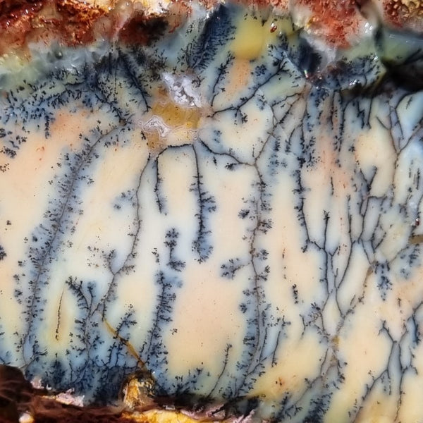 Dendritic Opal  rough.  DOR 191