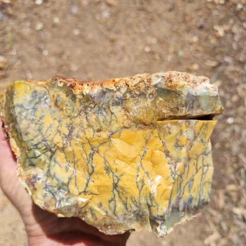 Dendritic Opal  rough.  DOR 192