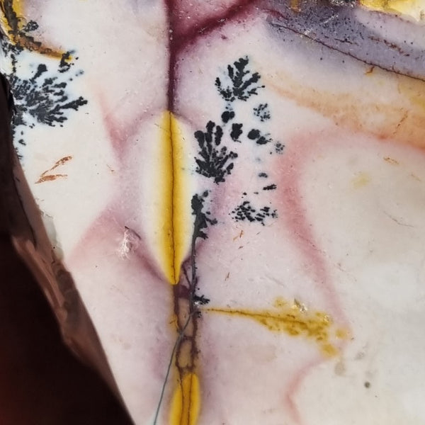 Dendritic Mookaite rough.  MKR 231