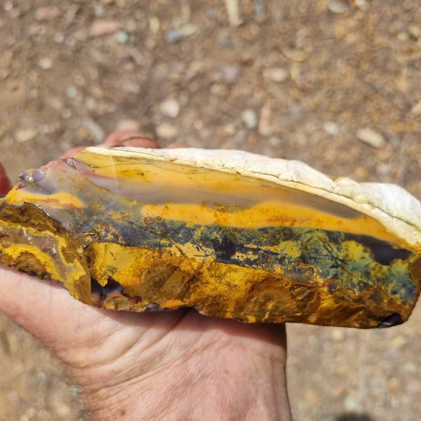 Mookaite rough.  MKR 232