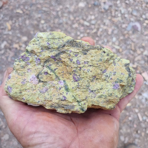 Rough Stichtite in Serpentine (Atlantisite) STR122