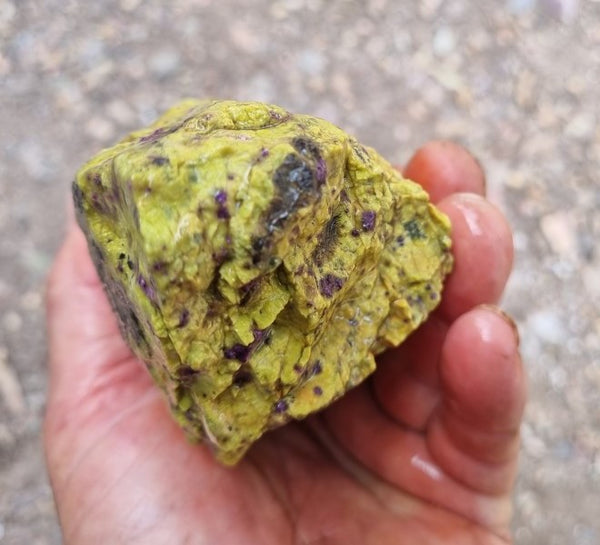 Rough Stichtite in Serpentine (Atlantisite) STR122