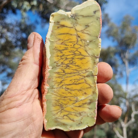 Polished Dendritic Opal DO169