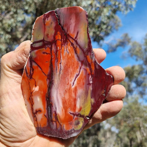 Polished Mookaite slab MK369