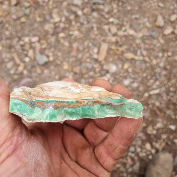 Variscite rough. VR470