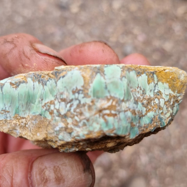 Variscite rough. VR474