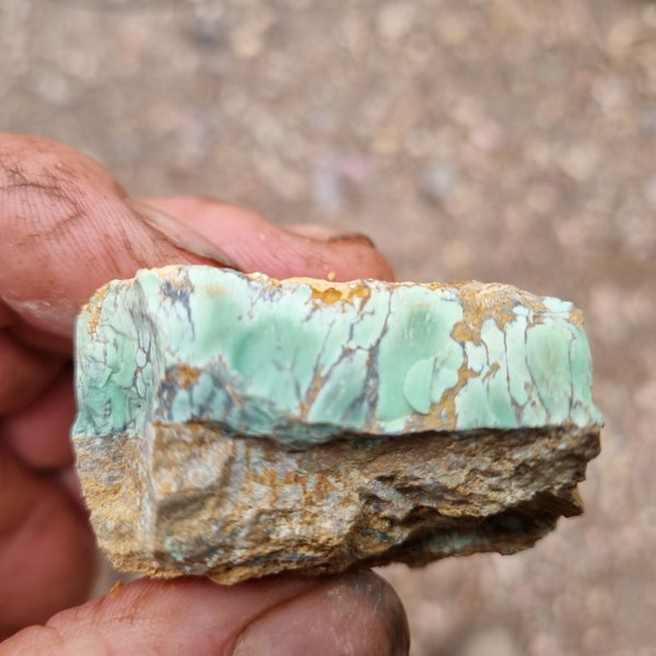 Variscite rough. VR474