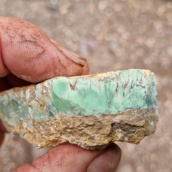 Variscite rough. VR474