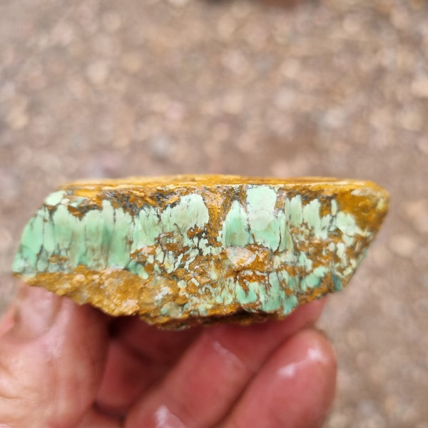 Variscite rough. VR474