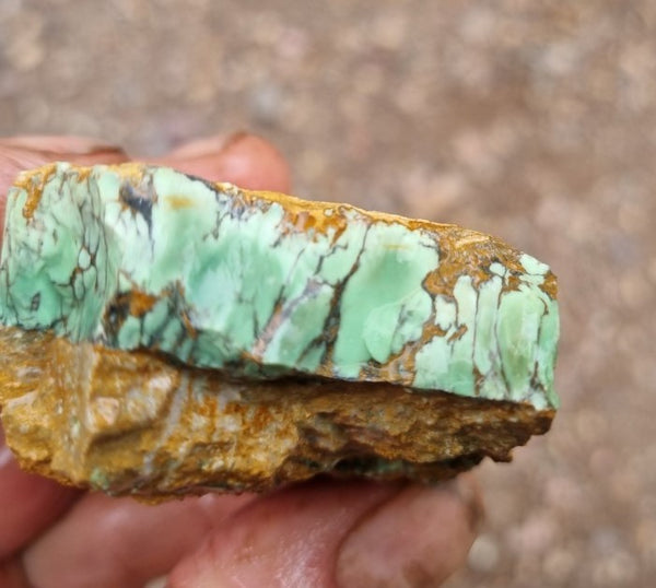 Variscite rough. VR474