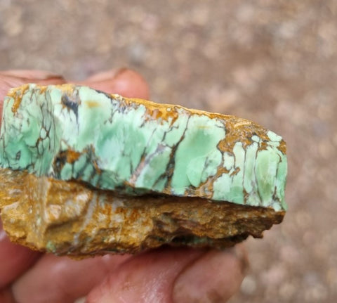 Variscite rough. VR474