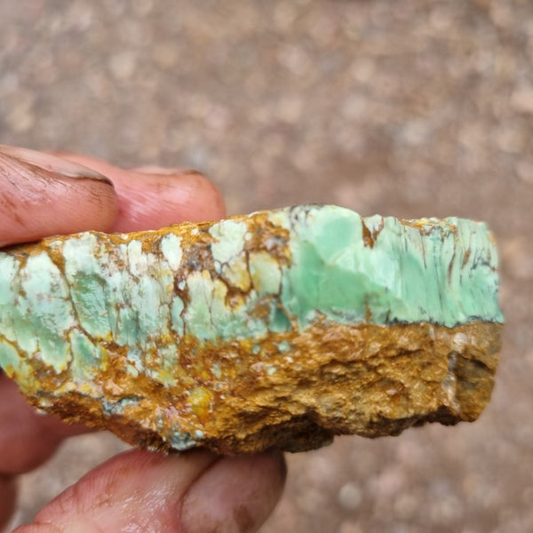 Variscite rough. VR474